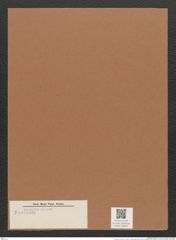 Navicula sp. (de-Toni-Nr.: Genus 1) Zeichnungen Sammlung Grunow Mappe 00623 (Herbarium_W_Grunow_drawings_Folder_00623)
